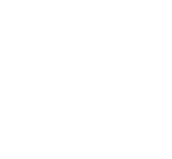 CHALET personne à mobilité réduite Afin que les personnes à mobilité réduites profitent pleinement du camp en toute sécurité, Roots propose 3 chalets Deluxe avec de grandes salles de bains aménagées pour accueillir les fauteuils roulants et autres équipements de mobilité. Ils sont situés au niveau de la cour intérieure, proches du restaurant. La structure principale du chalet est en pierre locale, d’une hauteur de 1 mètre. Les murs sont en bois et le toit en chaume. La largeur des portes est adaptée aux fauteuils roulants et équipées de rampes d’accès. Des lambris clairs aux murs, un plafond drapé en coton égyptien et un élément central en tissu bédouin coloré constituent la finition intérieure. Chaque chalet est équipé d’une climatisation moderne et individuelle, télévision LED avec une vingtaine de chaînes européennes transmises par satellite, mini réfrigérateur, coffre-fort et détecteur de fumée. Les chambres sont fournies avec des draps de lit et 2 serviettes par personne, les serviettes de plage sont disponibles à la réception. Les 3 chalets offrent les options « lits jumeaux » ou « lit double », les lits étant amovibles. Sur le chalet 109, une chambre attenante est possible. 